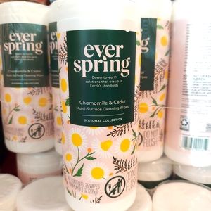 EVERSPRING surface wipes 35 count